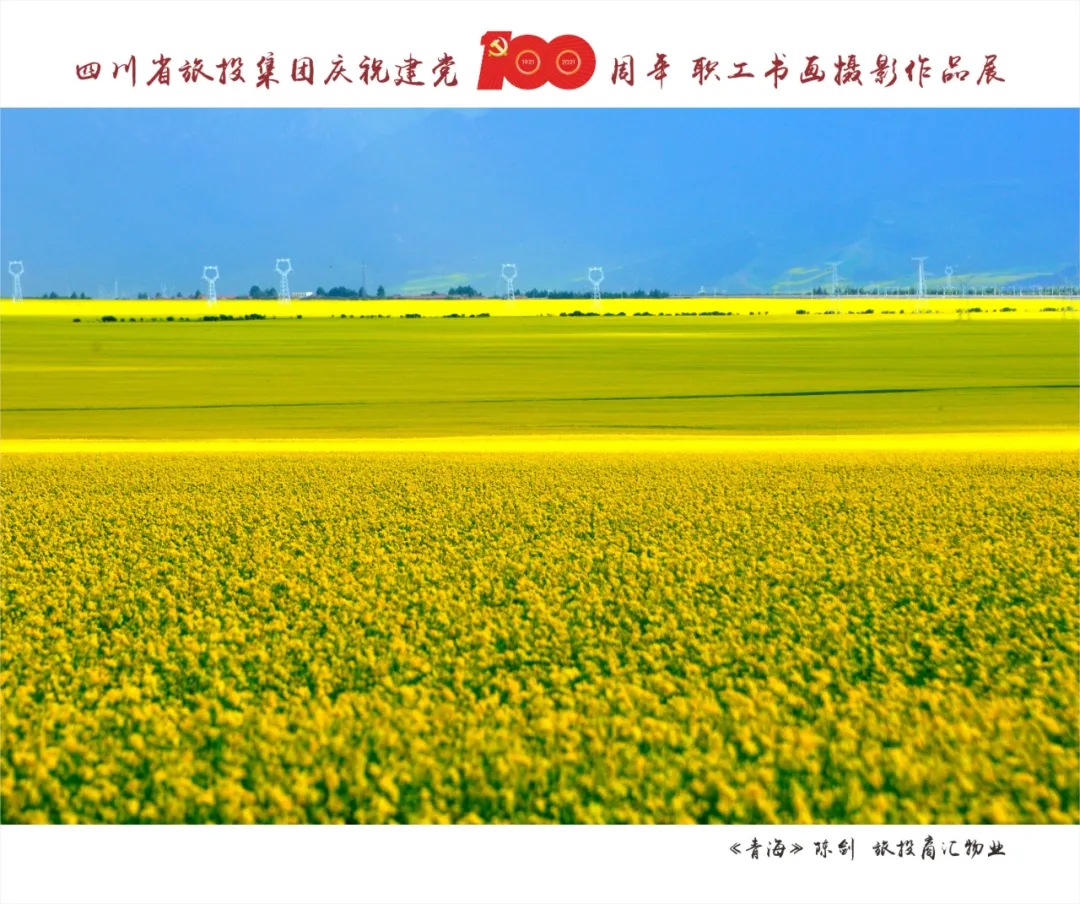 7.webp 7.webp