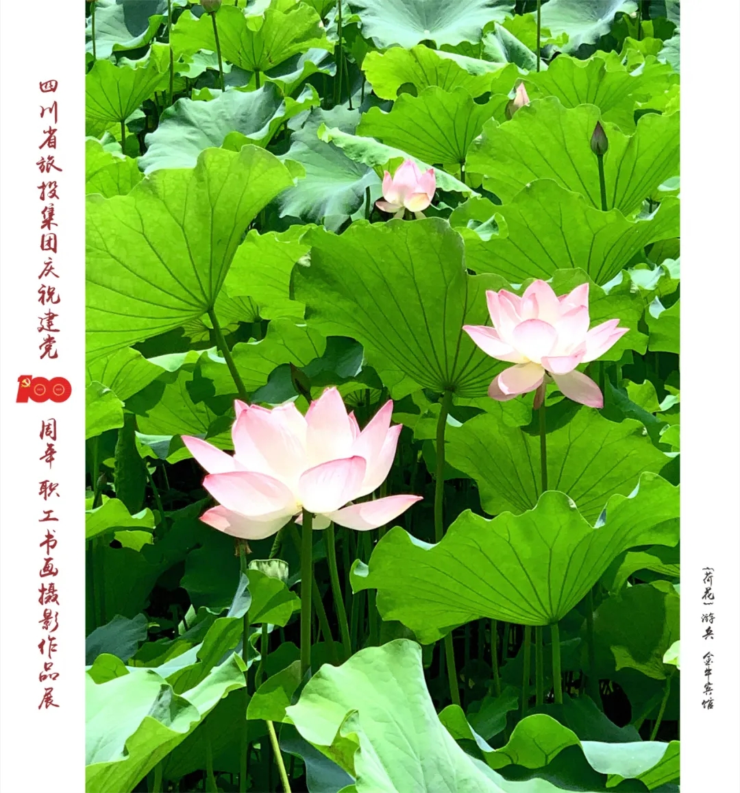 14.webp 14.webp