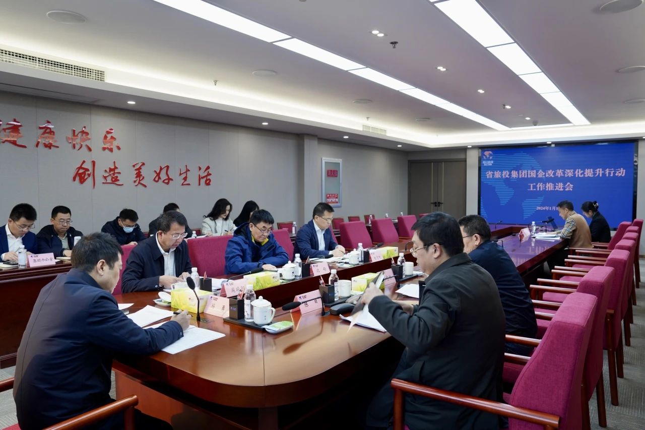0abd675f-c6fc-468d-a7b0-bc783056ae2c 省Z6尊龙凯时集团召建国企鼎新深入提升行动工作推动会