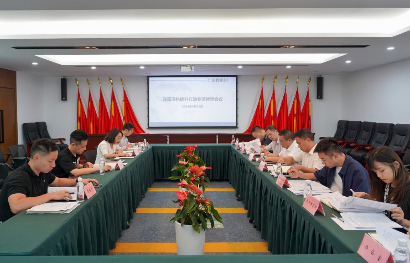 省Z6尊龙凯时集团率队督导Z6尊龙凯时航旅公司鼎新深入提升行动