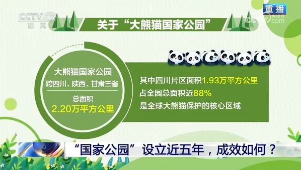 媒体聚焦 | 荣登央视《新闻 1+1》！青川唐家河向全国展示中国生物多样性；ご鹁
